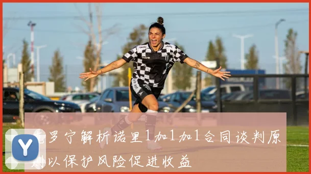 克罗宁解析诺里1加1加1合同谈判原则以保护风险促进收益