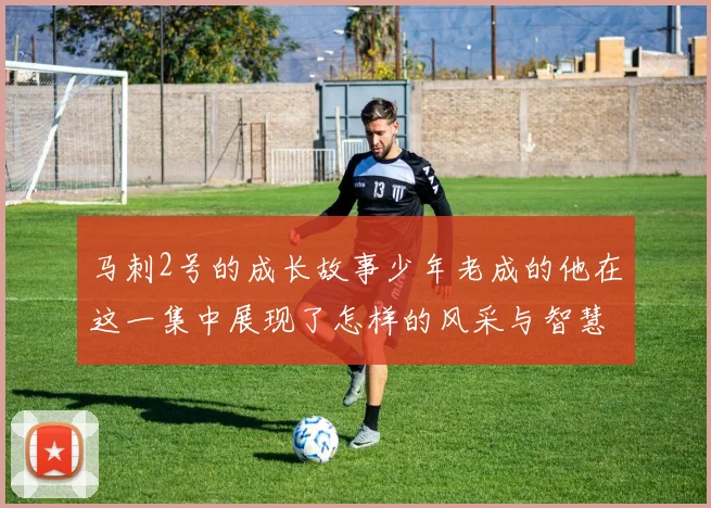 马刺2号的成长故事少年老成的他在这一集中展现了怎样的风采与智慧