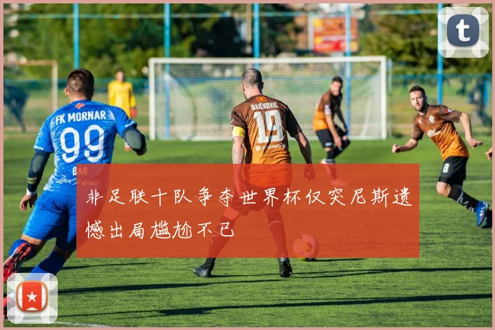 非足联十队争夺世界杯仅突尼斯遗憾出局尴尬不已